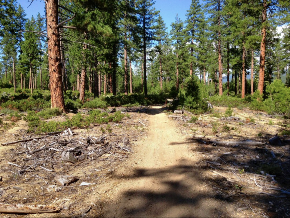 The Best OHV Trails in Oregon | Treadworld